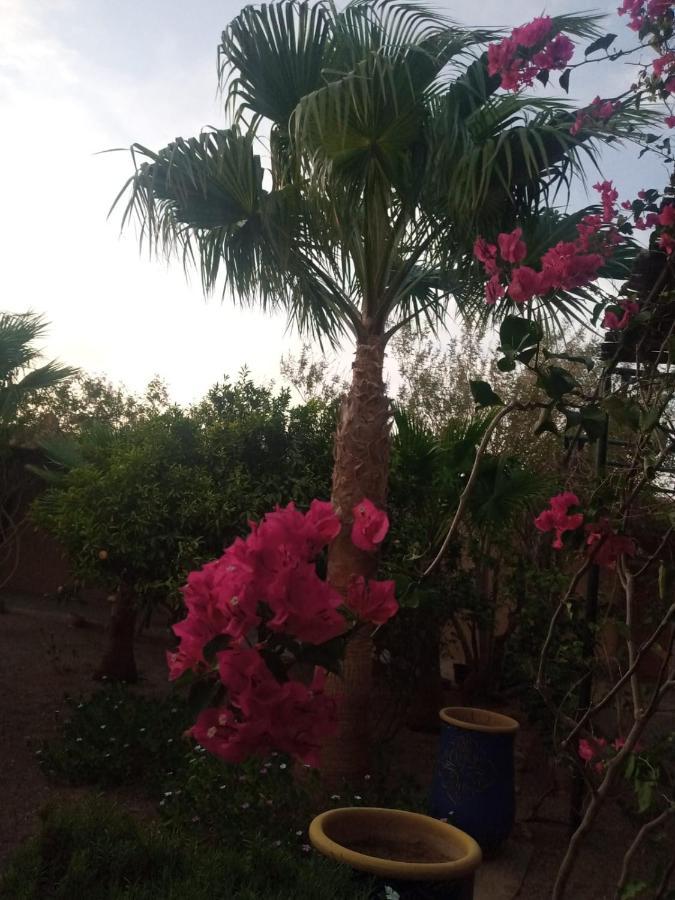Auberge Bassou Nkob Exterior foto